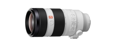 レンズ(ズーム) SONY 100-400mm GM SONY FE 100-400mm F4.5-5.6 GM OSSのレビュー。撮影例とレンズ外観