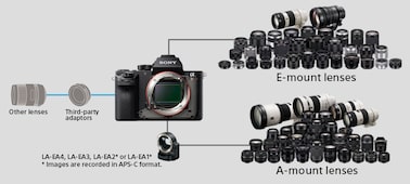 SONY α7R II ILCE-7RM2 sony85mmf1.8 SONY α7R II ILCE-7RM2 － オールドレンズ利用の最適母艦 – 中野