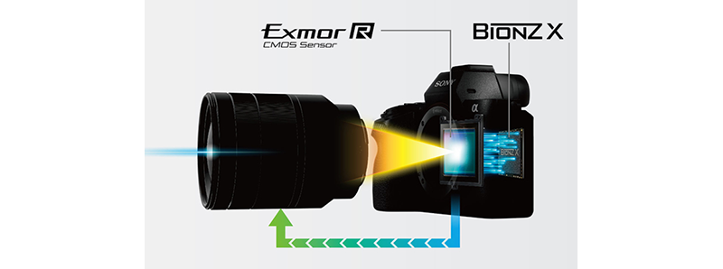 SONY α7RⅡ  オマケ多数 α7R II 主な仕様 | デジタル一眼カメラα（アルファ） | ソニー
